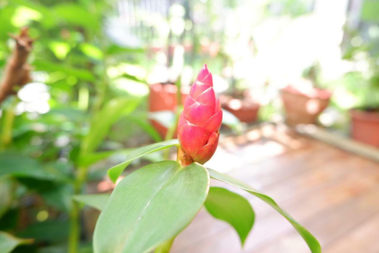 Mon Lodge & Yoga Donmueang Bangkok Luaran gambar